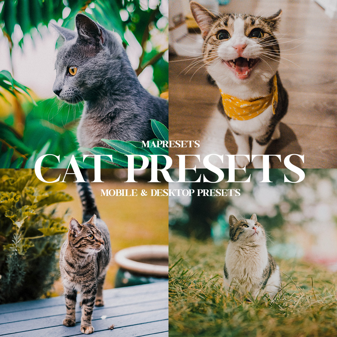 cat-lightroom-presets-mobile-and-desktop