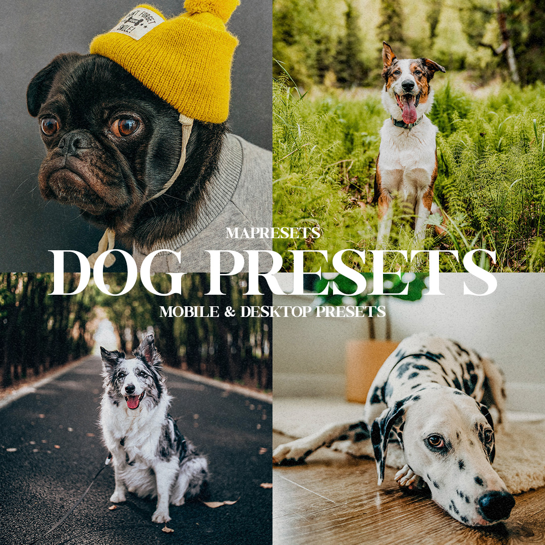 dog-lightroom-presets